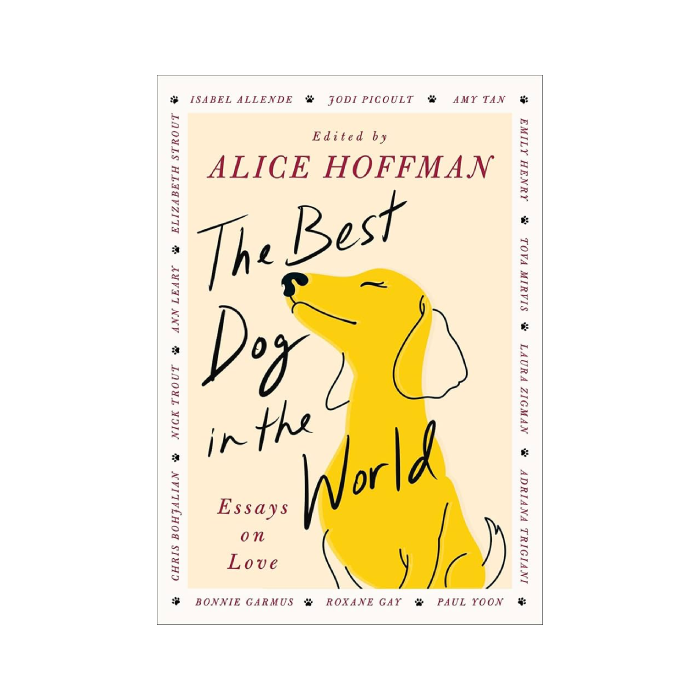 The Best Dog in the World: Essays on Love