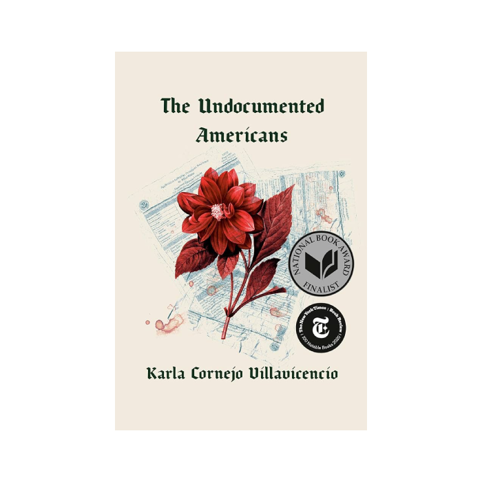 The Undocumented Americans