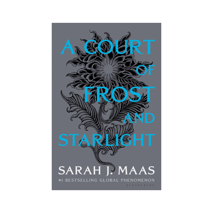 A Court of Frost and Starlight (ACOTAR, #3.5)