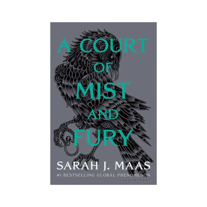 A Court of Mist and Fury (ACOTAR, #2)