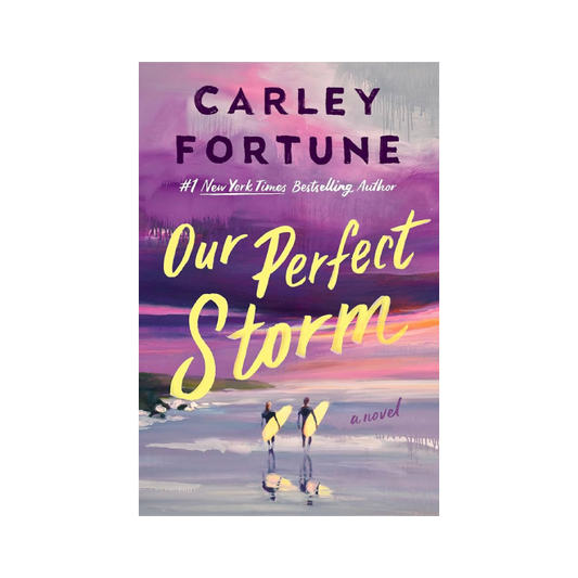 Our Perfect Storm