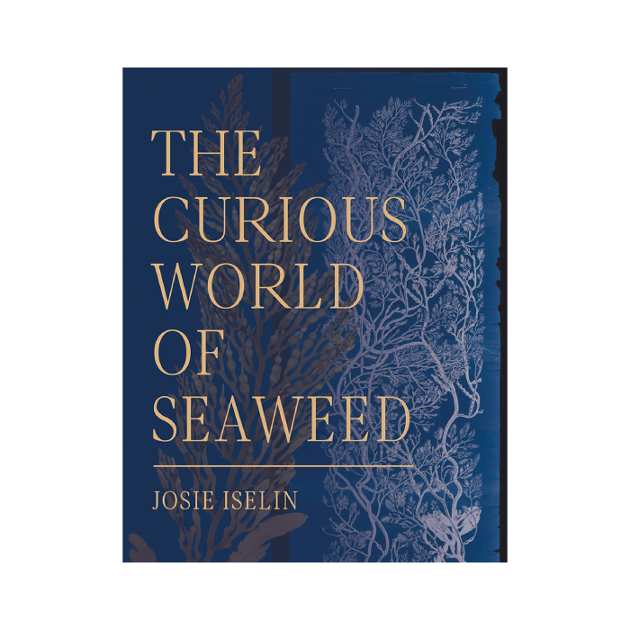 The Curious World of Seaweed