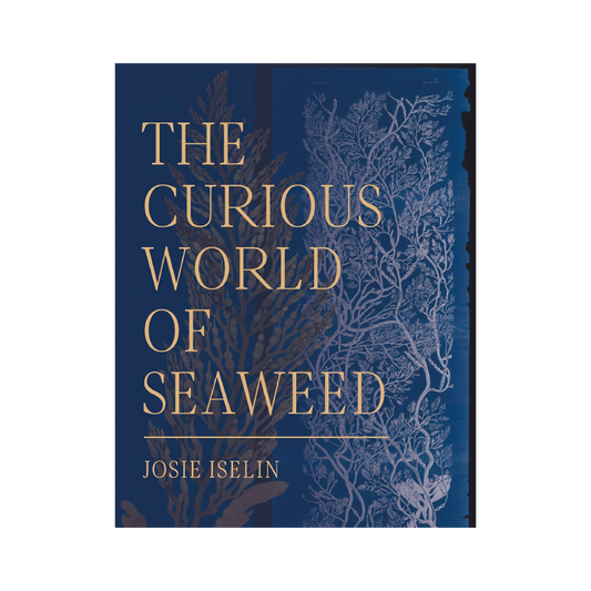 The Curious World of Seaweed